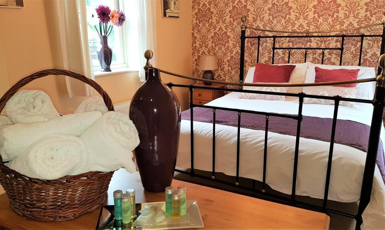 The Pelican Guesthouse Ashwellthorpe Zewnętrze zdjęcie